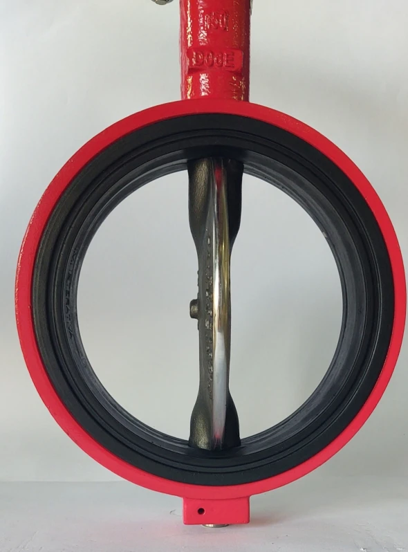 Manutenção de Válvula Borboleta Pneumática Piraju