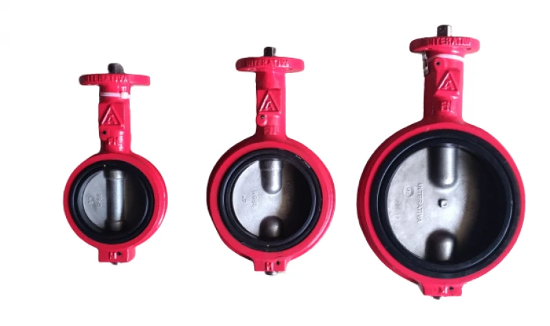 válvula borboleta concêntrica