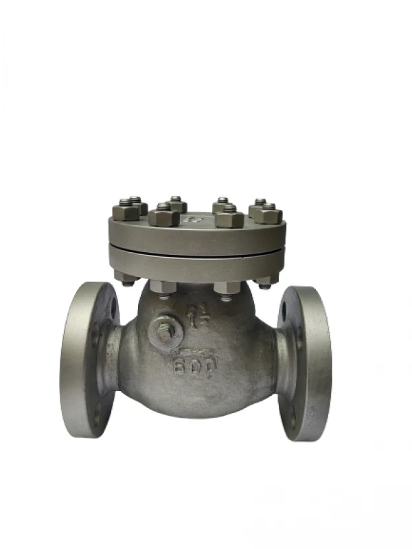 válvula de retenção portinhola