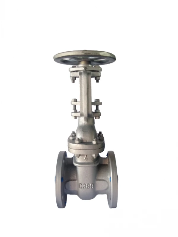 válvula gaveta 4 polegadas